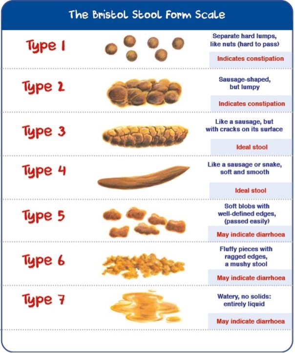 Childhood Constipation - Articles | Dis-Chem